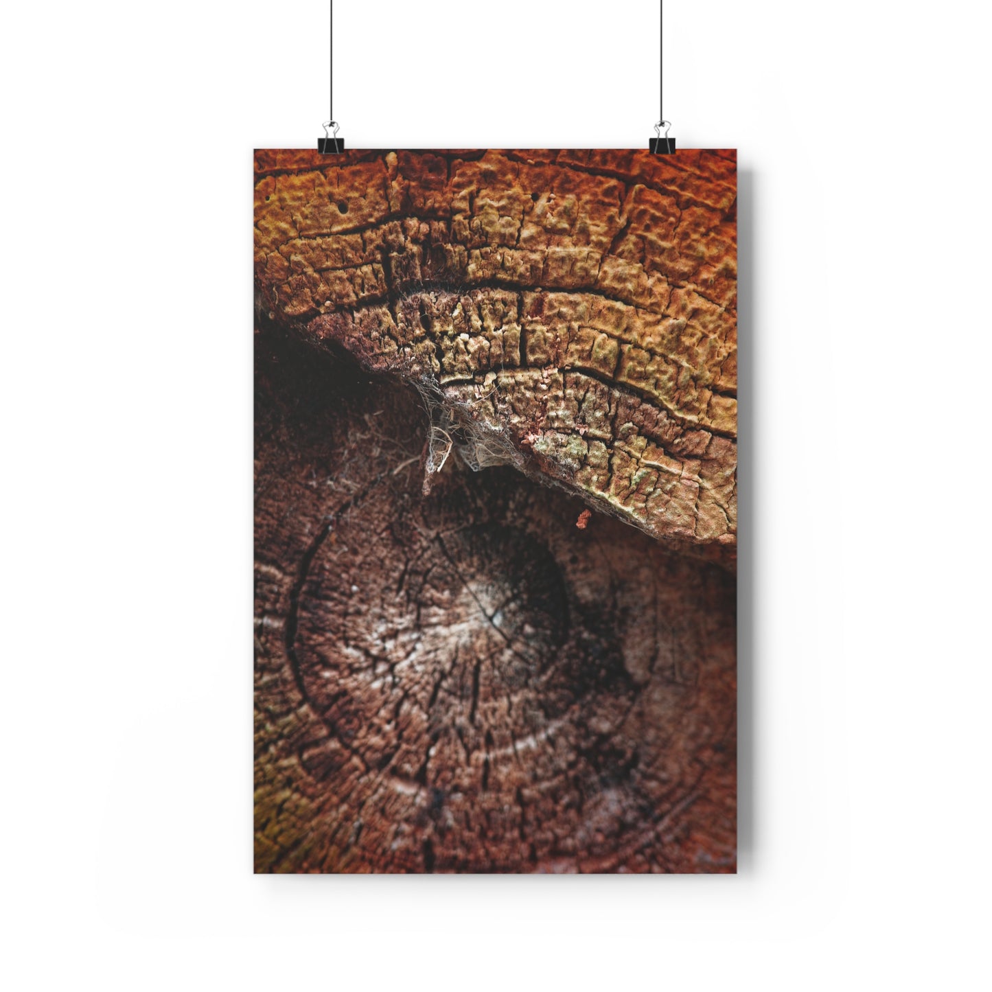 Giclée Art Print - Wood Closely #1
