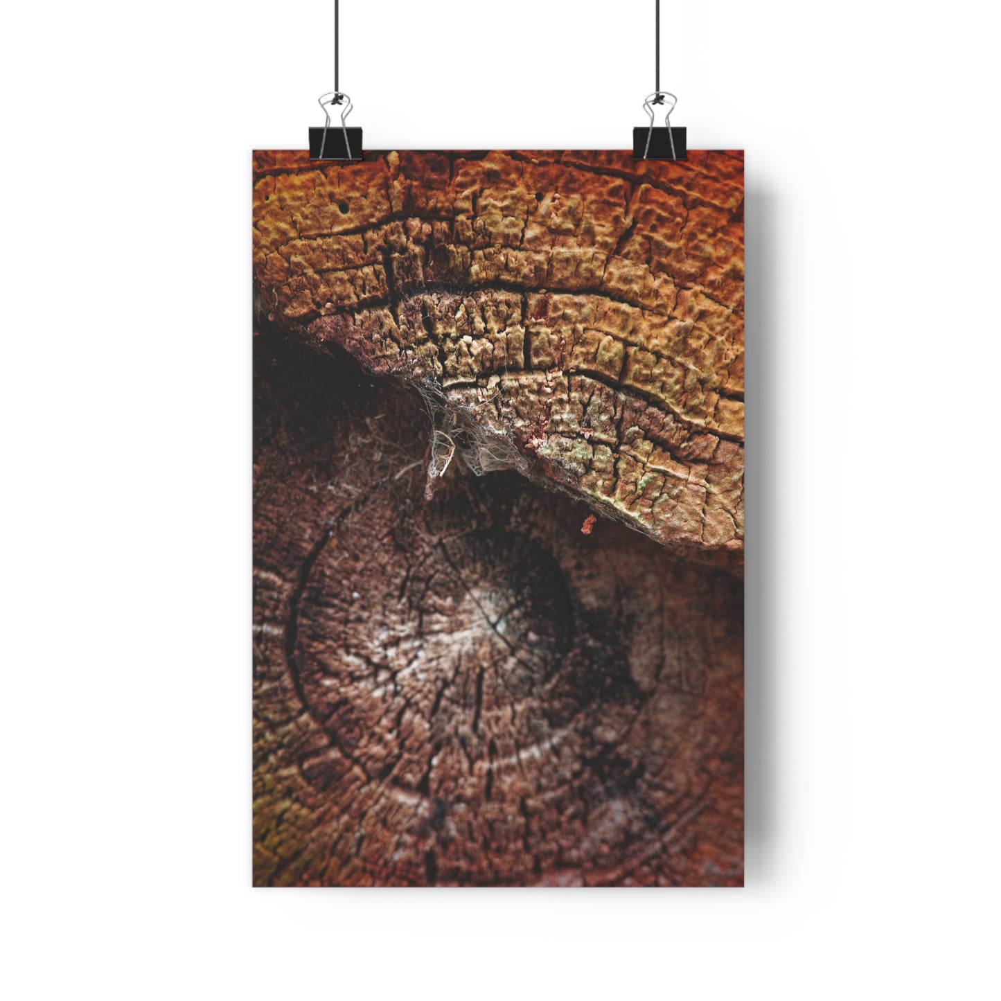 Giclée Art Print - Wood Closely #1